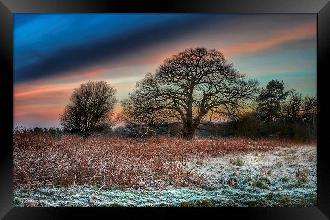A frosty morning in Norfolk Framed Print by Gary Pearson