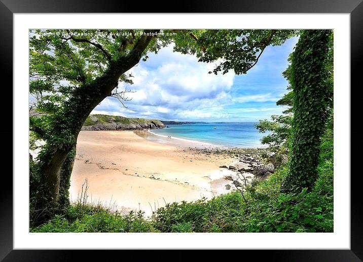 Barafundle bay Pembrokeshire Framed Mounted Print by Gary Pearson