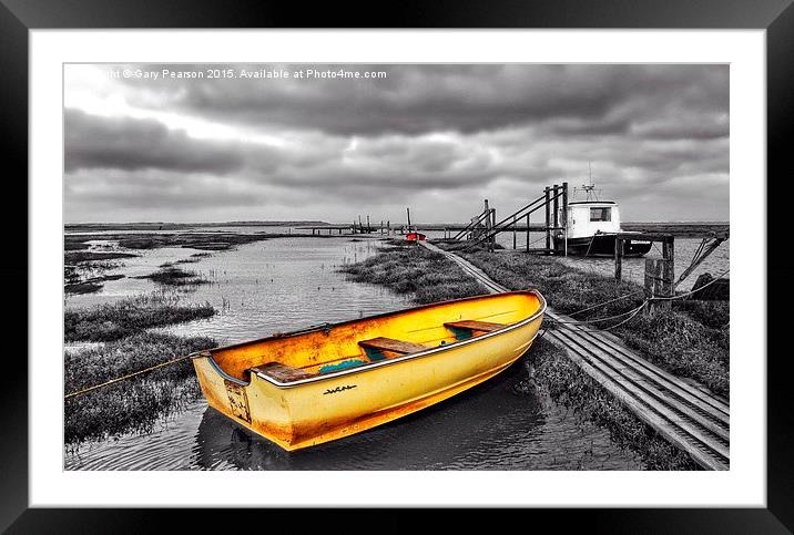 Standing out at the staithe  Framed Mounted Print by Gary Pearson