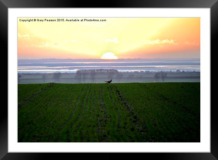 Sunset from Dersingham looking across The Wash Framed Mounted Print by Gary Pearson