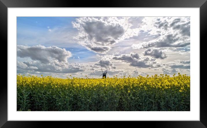 Burnham Overy Staithe mill in a sea of yellow Framed Mounted Print by Gary Pearson