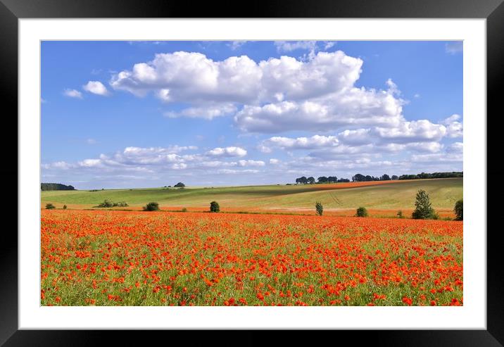 Poppy fields  Framed Mounted Print by Gary Pearson