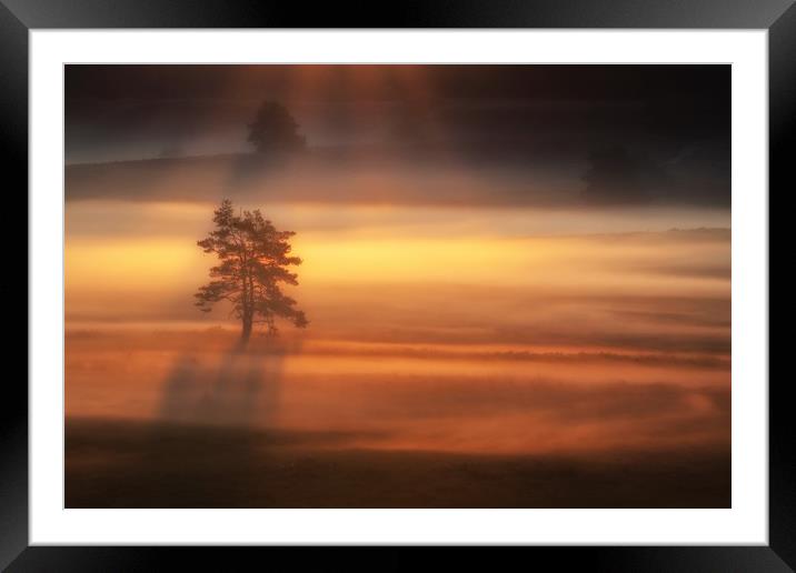 Serenity Framed Mounted Print by Gary Pearson
