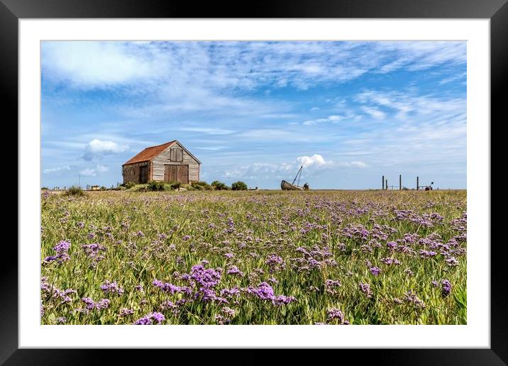 Sea lavender surrounding the old coal barn Framed Mounted Print by Gary Pearson