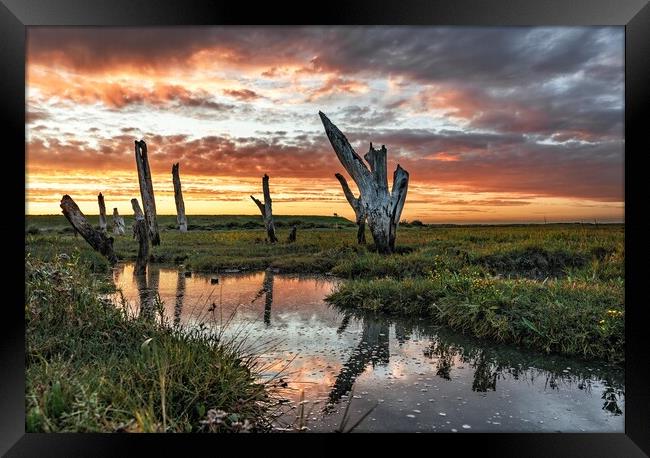 Sunset colours over the Thornham stumps  Framed Print by Gary Pearson