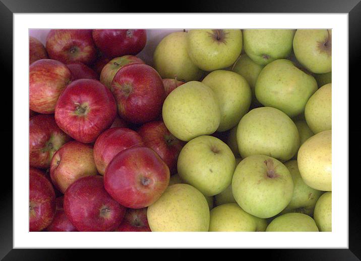 apples Framed Mounted Print by Fiona Snedden