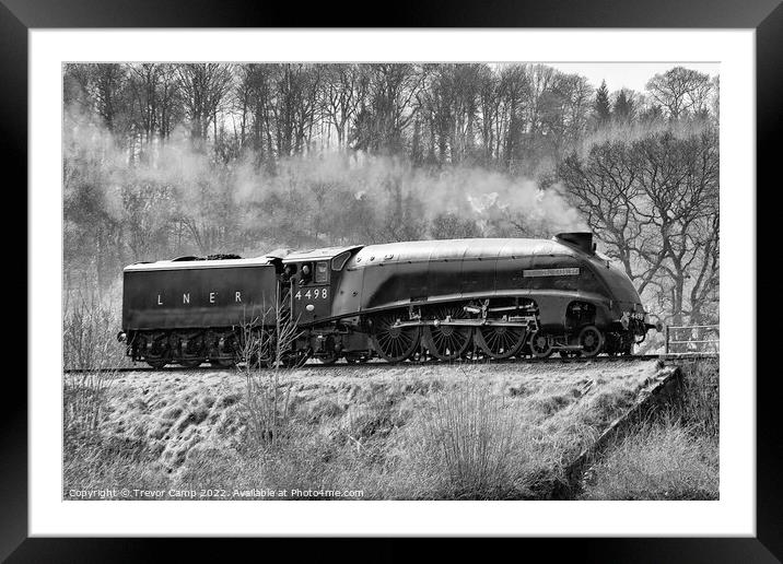 Sir Nigel Gresley - Severn Valley trials - 02 Framed Mounted Print by Trevor Camp