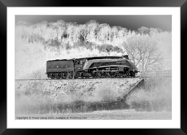 Sir Nigel Gresley on Severn Valley Railway Framed Mounted Print by Trevor Camp