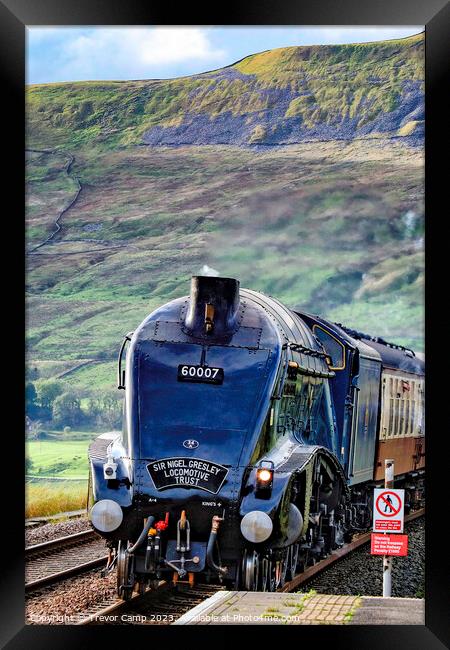60007 at Ribblehead Framed Print by Trevor Camp