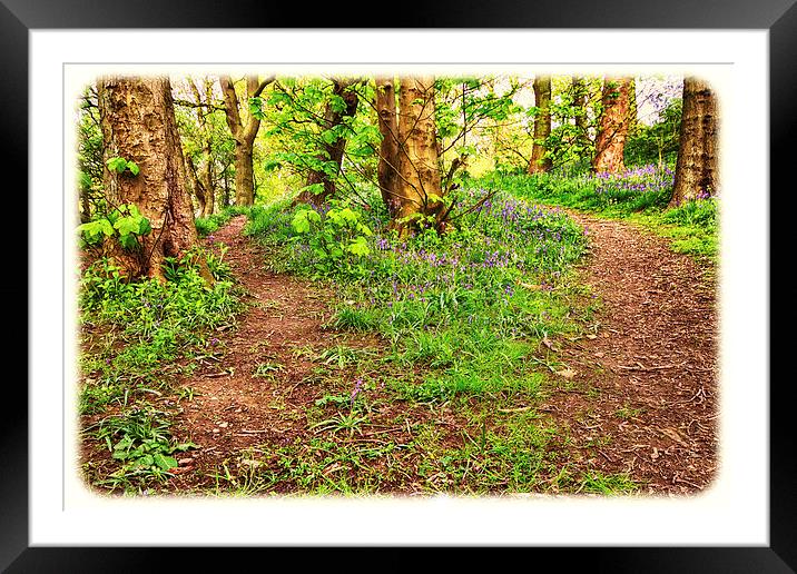 Two Paths Framed Mounted Print by Trevor Camp