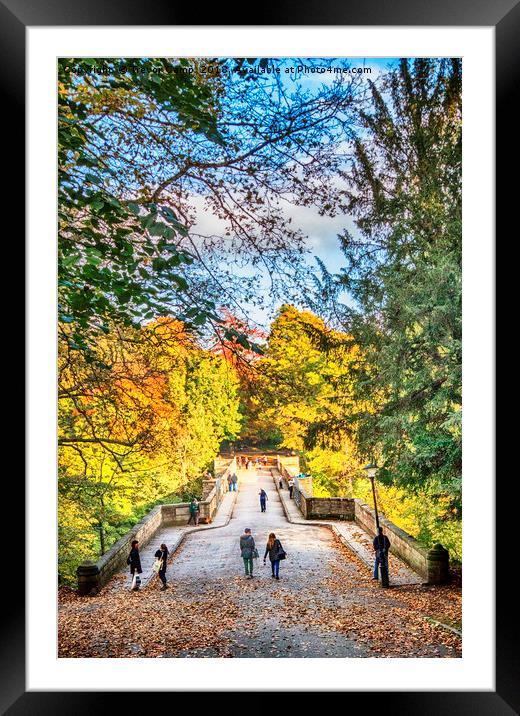 Prebends Bridge, Durham Framed Mounted Print by Trevor Camp