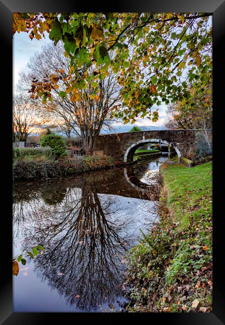 Dowley Gap - 01 Framed Print by Trevor Camp