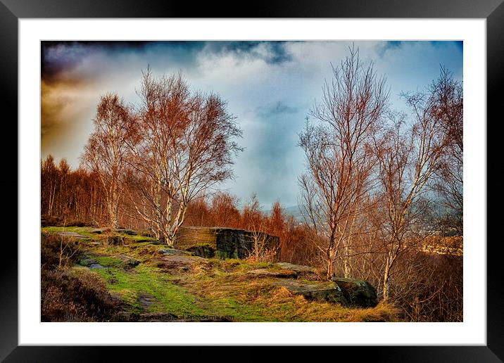 Druids Altar Framed Mounted Print by Trevor Camp