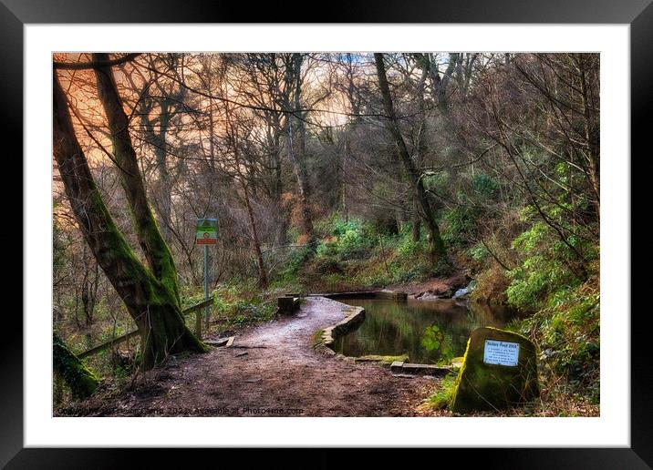 Baxters Pond - 02 Framed Mounted Print by Trevor Camp