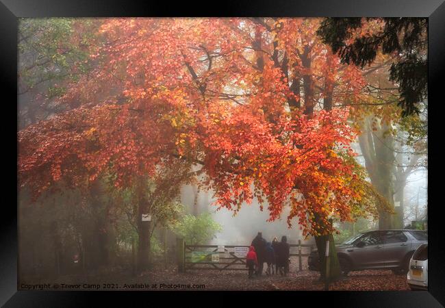 A Walk in the Autumn Mist Framed Print by Trevor Camp