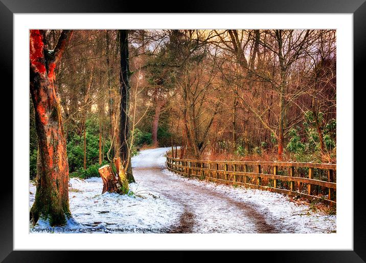 Lady Blantyre's Walk Framed Mounted Print by Trevor Camp