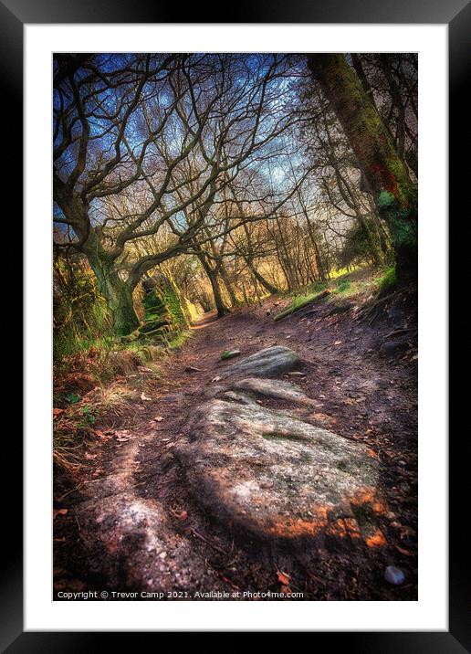 A Rocky Path Framed Mounted Print by Trevor Camp