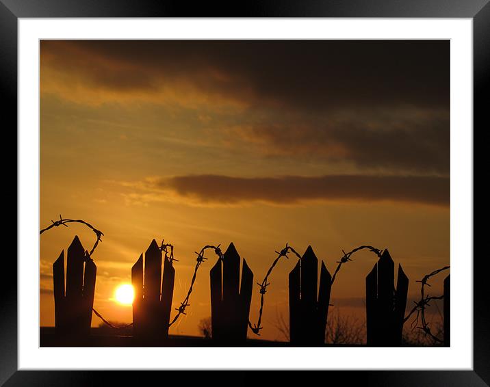 barbed wire fence at sunset Framed Mounted Print by isaac ford