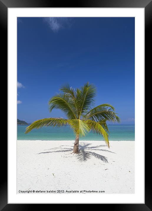 Palm tree on  beach Framed Mounted Print by stefano baldini