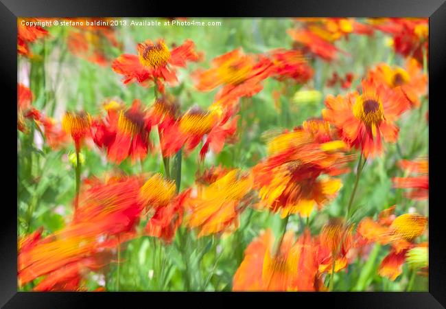 Flower background Framed Print by stefano baldini