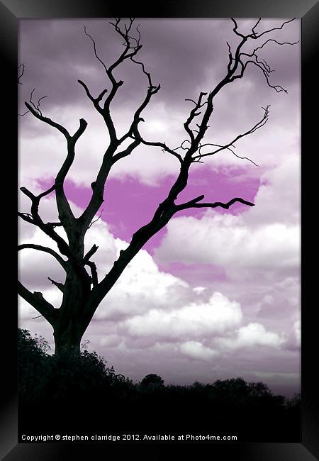Purple sky tree Framed Print by stephen clarridge
