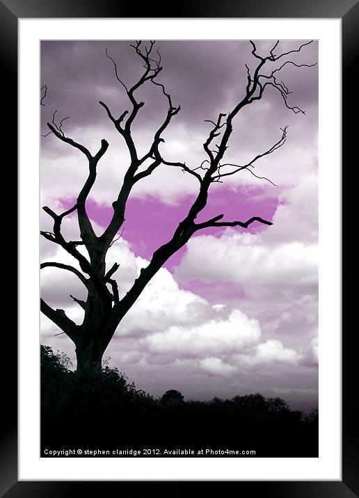 Purple sky tree Framed Mounted Print by stephen clarridge