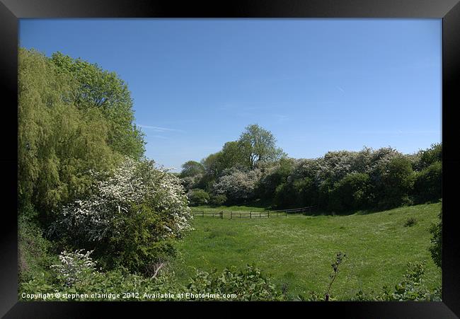 meadows at skegby nottinghamshire Framed Print by stephen clarridge