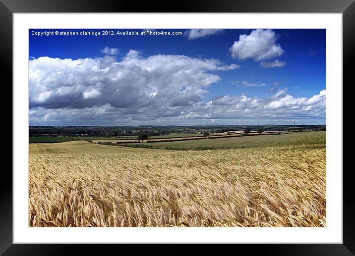 cornfields and blue sky Framed Mounted Print by stephen clarridge