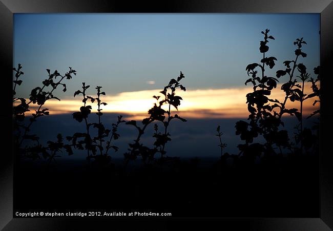 Hedgerow at night Framed Print by stephen clarridge