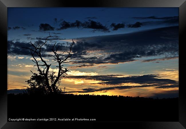 Tree at sunset 1 Framed Print by stephen clarridge