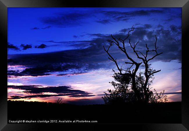 Tree at sunset 2 Framed Print by stephen clarridge