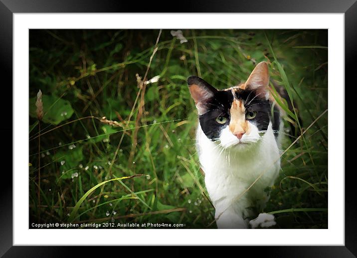 The Cat Framed Mounted Print by stephen clarridge