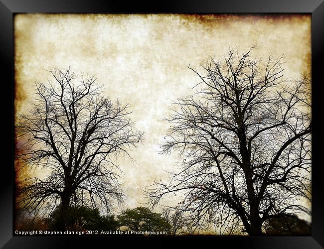 Vintage Tree silhouettes Framed Print by stephen clarridge