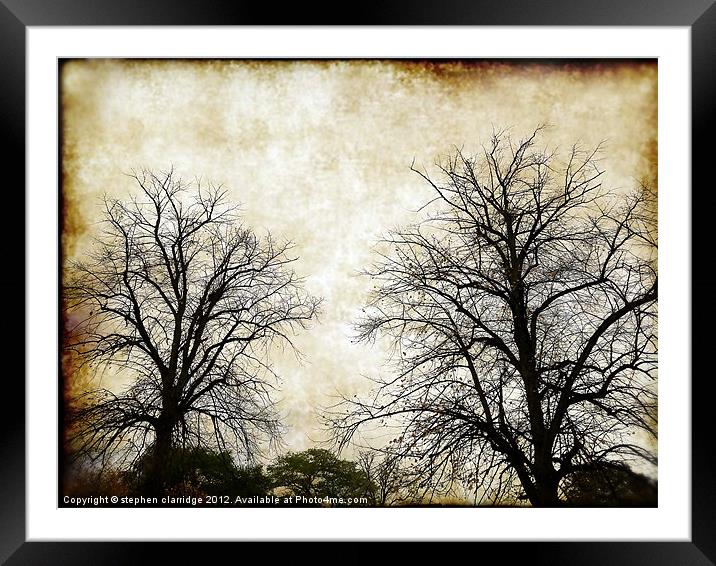 Vintage Tree silhouettes Framed Mounted Print by stephen clarridge