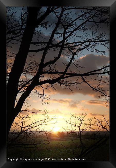 Sunset through the trees 1 Framed Print by stephen clarridge