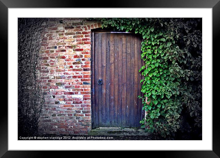 Old door with ivy Framed Mounted Print by stephen clarridge
