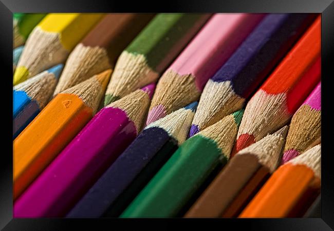 Interlocked Coloured Pencils Framed Print by Steven Clements LNPS