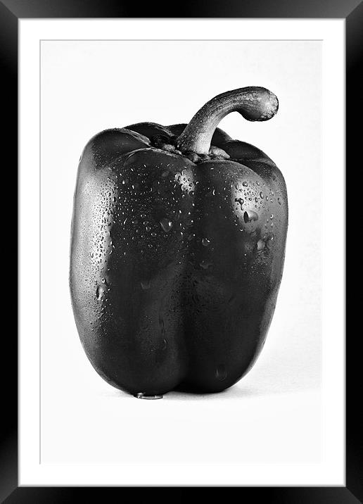 Wet Red Pepper in Mono Framed Mounted Print by Steven Clements LNPS