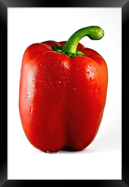 Wet Red Pepper White Background Framed Print by Steven Clements LNPS