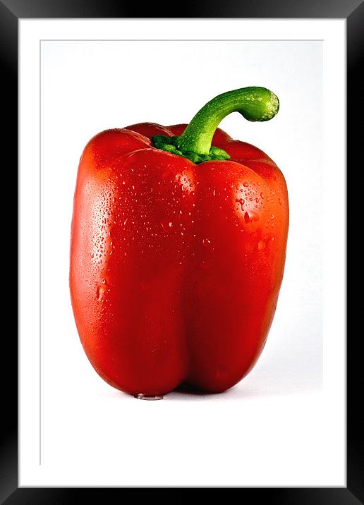 Wet Red Pepper White Background Framed Mounted Print by Steven Clements LNPS
