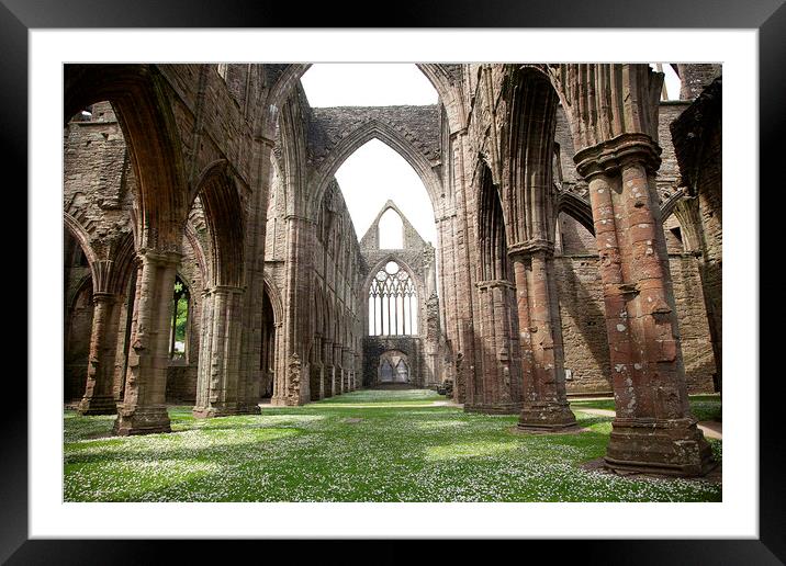 Tintern Abbey Framed Mounted Print by Catherine Joll