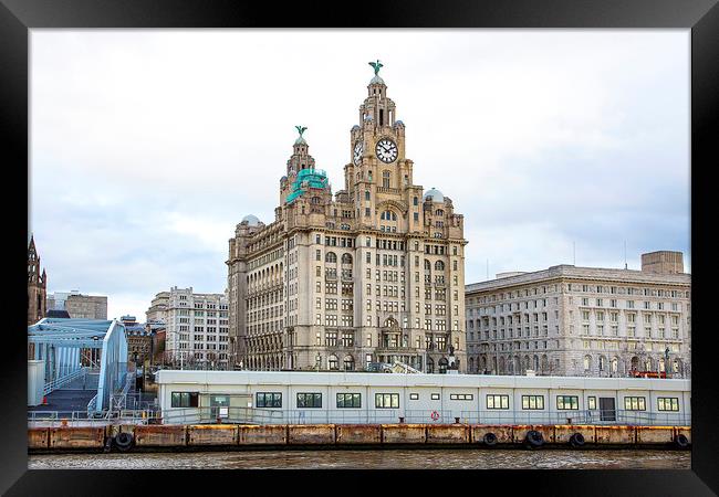 Liver Building, Liverpool. Framed Print by Catherine Joll