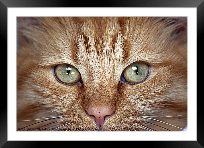 Windows to the soul Framed Mounted Print by Kelly Astley