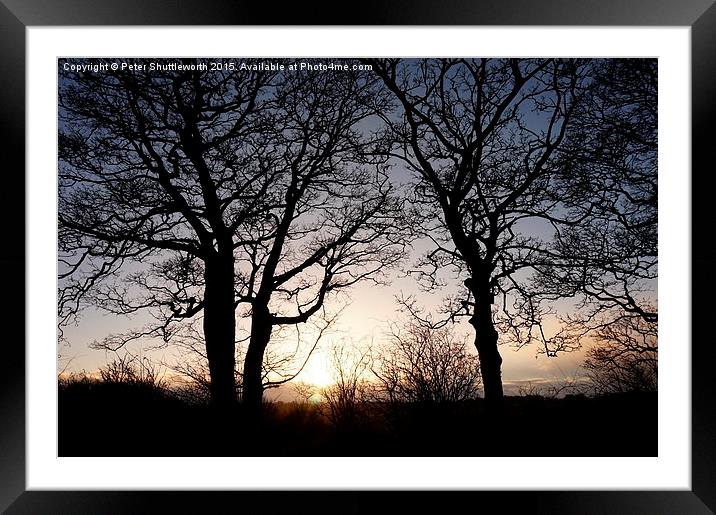 Winter Trees - Oakwell Park, Birstall, West Yorksh Framed Mounted Print by Peter Shuttleworth