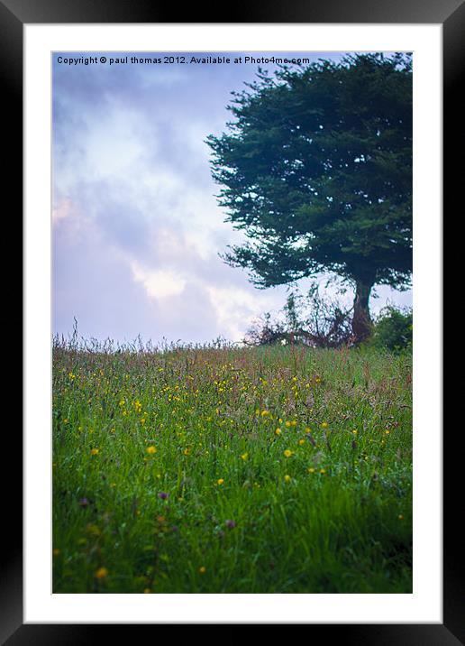 Dew meadow flowers Framed Mounted Print by paul thomas