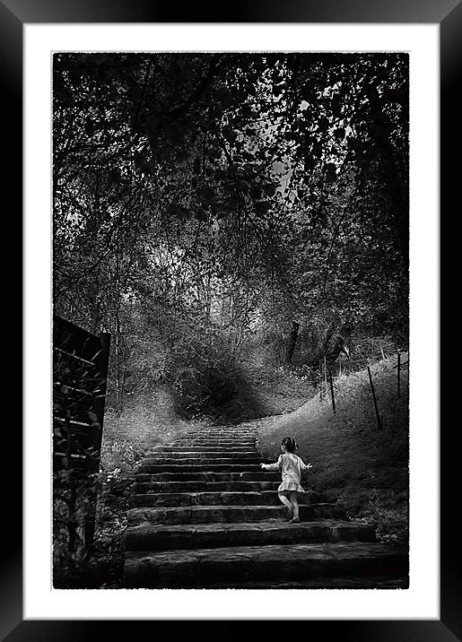 Ascent Framed Mounted Print by paul thomas