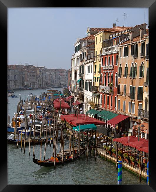 The Grand Canal Venice Framed Print by David Worthington