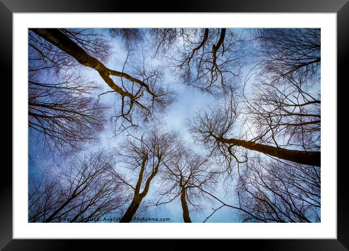 Spring Tree sky view Framed Mounted Print by Kat Arul