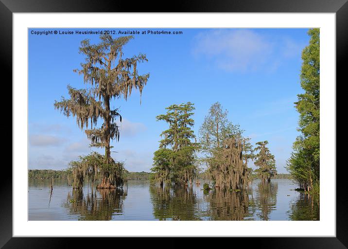 Cypress trees with Spanish Moss Framed Mounted Print by Louise Heusinkveld