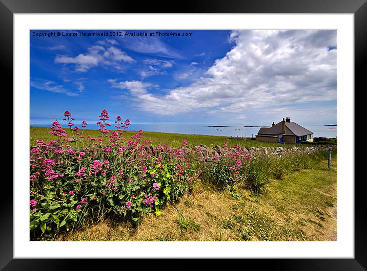 Garden Valerian by a Stone Wall Framed Mounted Print by Louise Heusinkveld